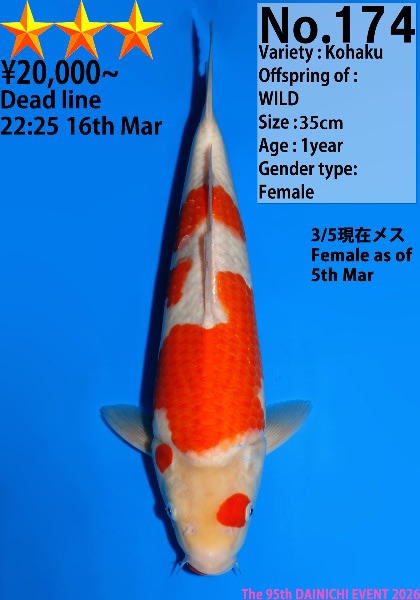 174.jpg