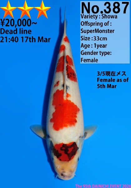 387.jpg