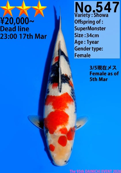 547.jpg