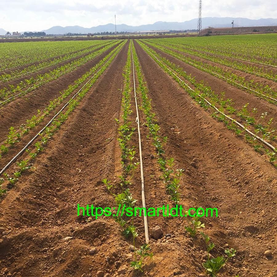 AZUD DRIP.jpg
