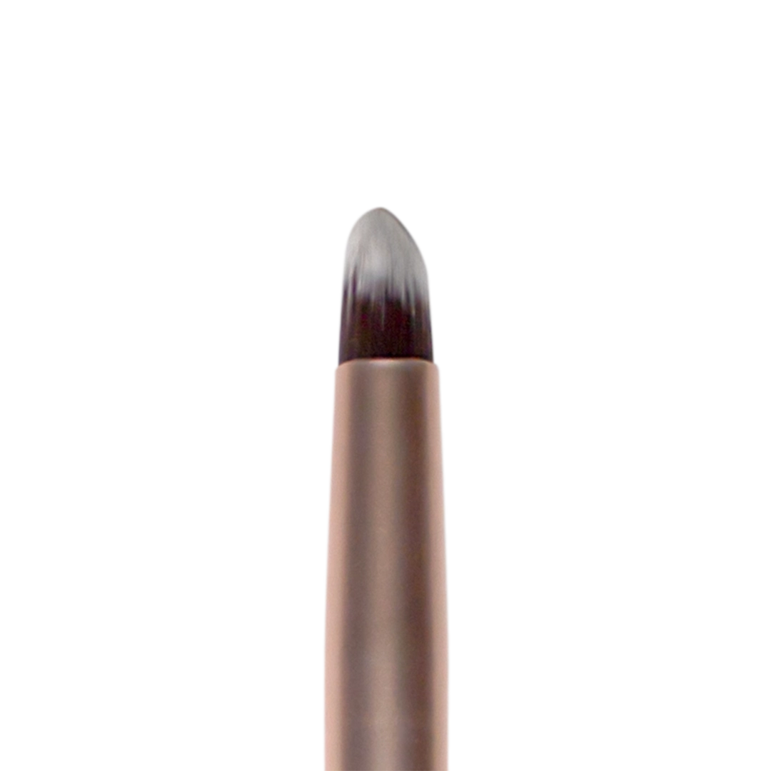 מברשת דיוק 006 – תמונה 2