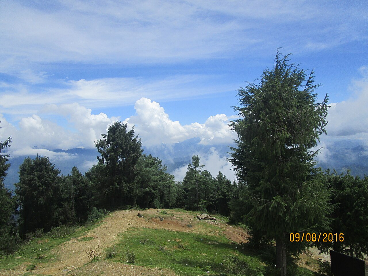 Shimla Reserve Forest Sanctuary at Kufri