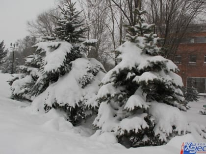 Мокрый снег завтра в Хабаровске