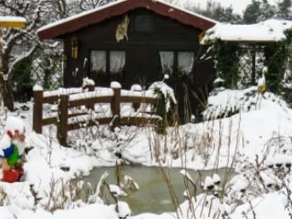 ЦБ хочет персонально наказывать сотрудников банков, допустивших мошенничество