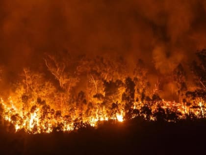 Лесные пожары продолжают угрожать Хабаровскому краю