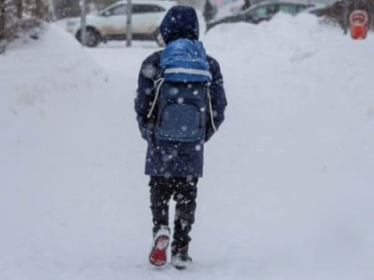 В школах Хабаровска сегодня и завтра режим свободного посещения