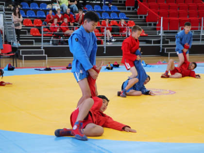 В рамках проекта «Самбо в школу» в Хабаровске прошло первенство Дальневосточного федерального округа