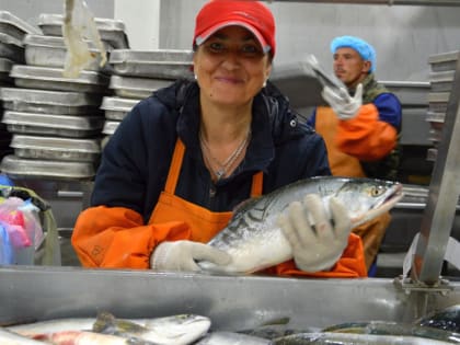 На премии конкурса «Знай наших» претендуют 64 хабаровских бренда