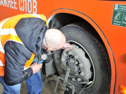 Техосмотр электротранспорта в Хабаровске будет проходить быстрее