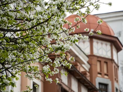 В Хабаровский край вновь пришли дожди и вернулся холод