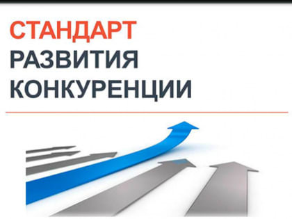 Дополнительный импульс по поддержке и защите конкуренции дан в новом Стандарте развития