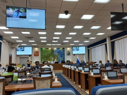 Участие в заседании постоянного комитета Законодательной Думы Хабаровского края