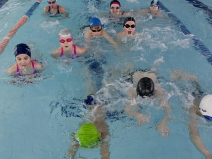 В бесплатную группу обучения плаванию набирают детей в Хабаровске