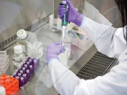 Итоги 2023 года отдела мониторинга состояния лесных генетических ресурсов ЦЗЛ Хабаровского края