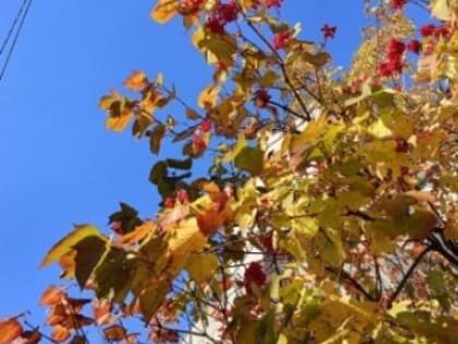 События в России: от TikTok до социальных инициатив