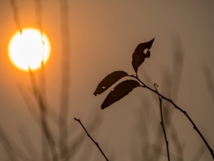 Метеорологи разъяснили, сбудется ли прогноз о 40-градусной жаре по всей России этим летом