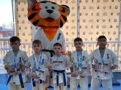 В Хабаровске прошел фестиваль по киокусинкай «Боевые Тигрята»