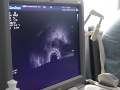 С 2019 года благодаря ЭКО в Хабаровском крае родилось более 1800 детей