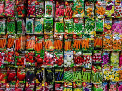 Незарегистрированные семена выявлены в интернет-магазине Хабаровска