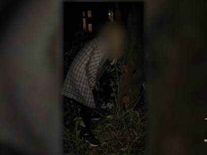 В Хабаровске раскрыта кража более миллиона рублей