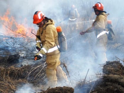 Губернатор Хабаровского края призвал к гибкости в тушении природных пожаров