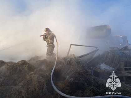 Комсомольские пожарные спасли 30 животных при ликвидации возгорания на частном подворье