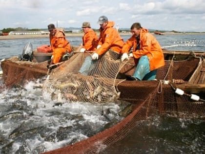 Новая редакция закона о рыболовстве - Законодательная Дума Хабаровского края