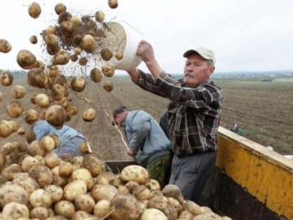 В ВТБ назвали меры по наращиванию экспорта агропродукции