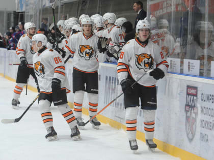 Хорошая история