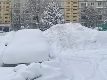 Два особенно холодных дня ждут хабаровчан на этой неделе