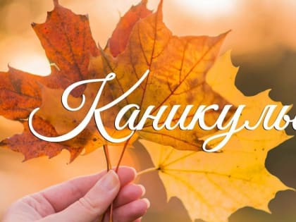 Осенние каникулы в школах Хабаровска пройдут с 28 октября по 5 ноября