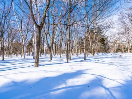 Аномальные морозы в Хабаровском крае продержатся неделю