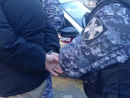 Подозреваемого в угоне автомобиля задержали в Хабаровском крае