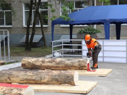 В крае продолжается отборочный этап Всероссийского чемпионата "Профессионалы"