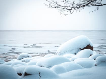 В Хабаровском крае не на шутку разгулялся сечень