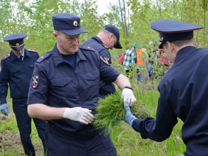 Сотрудники УМВД России по Хабаровскому краю приняли участие в акции "Сад Памяти"