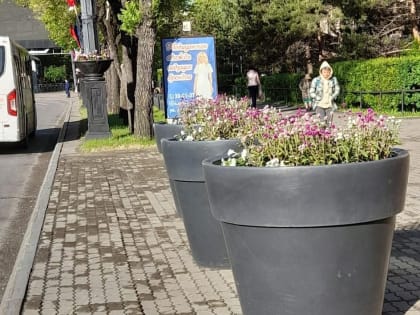 Пятнадцать необычайно больших вазонов появились на улицах Хабаровска