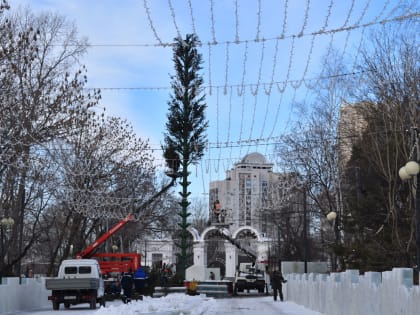 Монтаж елки в хабаровском парке «Динамо» на завершающей стадии