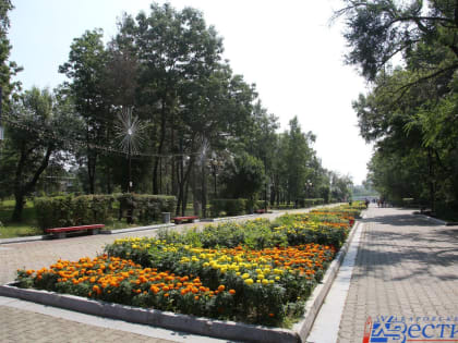 Обновление детской площадки в парке «Динамо»