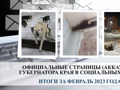 Официальные страницы (аккаунты) Губернатора края в социальных сетях. Итоги месяца