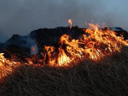 Лесной пожар угрожает Большехехцирскому заповеднику в Хабаровском крае