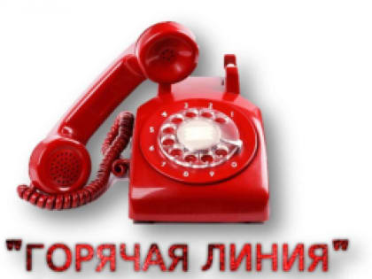 «Горячая линия» на тему: «Реализация муниципальной программы «Развитие физической культуры и спорта в Бикинском муниципальном районе»