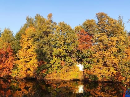 Сегодня в Хабаровске еще один теплый день