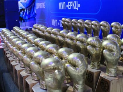 Боксеры Хабаровского края завоевали четыре медали на соревнованиях в Комсомольске-на Амуре