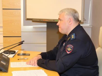 Номера без триколора менять? Глава ГИБДД разъяснил ситуацию с флагами на госномерах