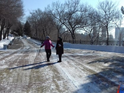 Пасмурно и без осадков будет в четверг в Хабаровске