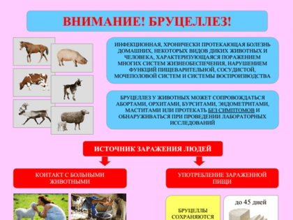 Администрация города информирует жителей о риске завоза бруцеллеза