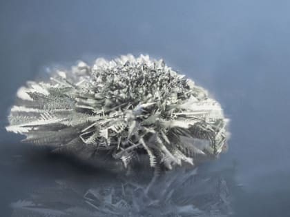 В Хабаровском крае построят комбинат для глубокой переработки оловянных концентратов