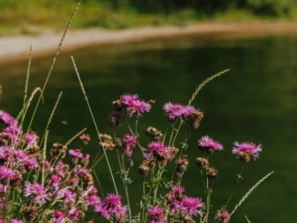 Лето 2024 года может стать самым жарким в истории