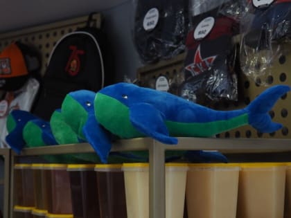 Предпринимателей Хабаровского края зовут объединиться под одним брендом